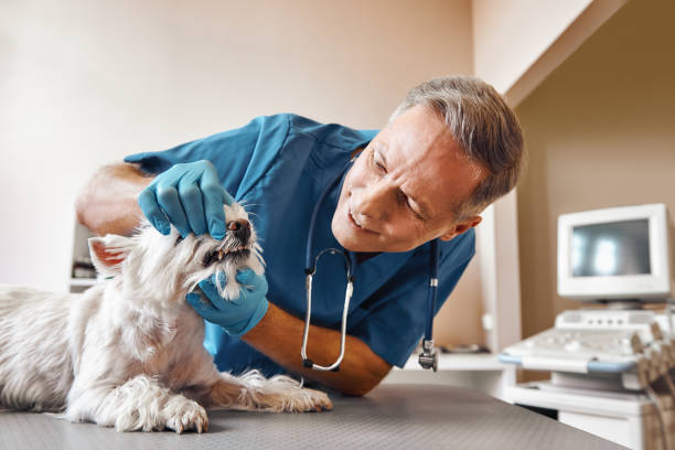 Best Weekend Emergency Dentist in East Brewton, AL